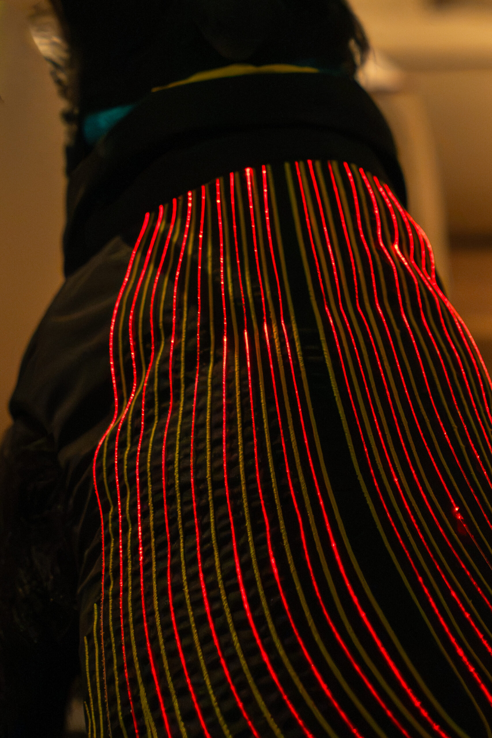 giubbotto luminoso per cani DoggyLux